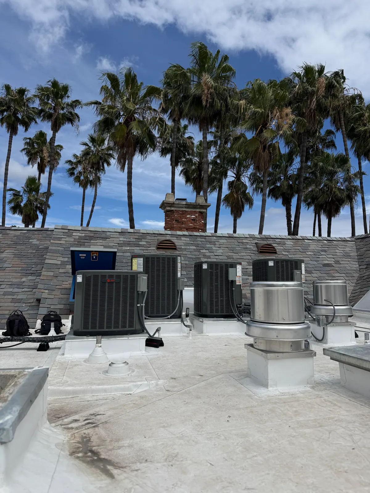 Several rooftop units and vents on a flat roof with palm trees behind.