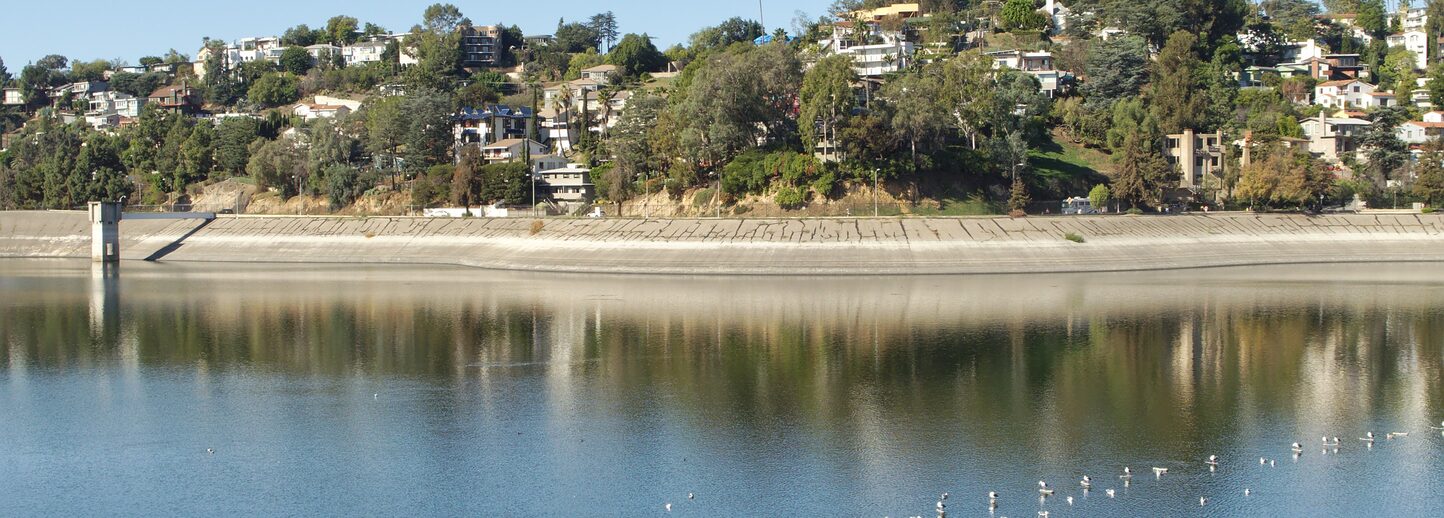 Houses above Silver Lake Reservoir.