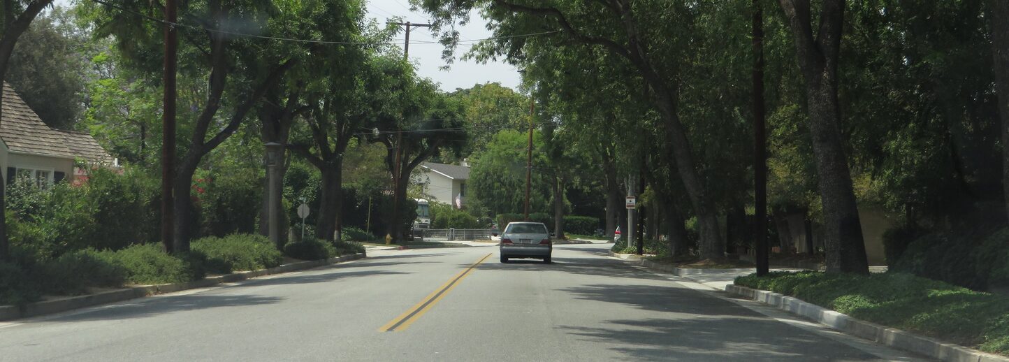 A tree-lined street in South Pasadena.