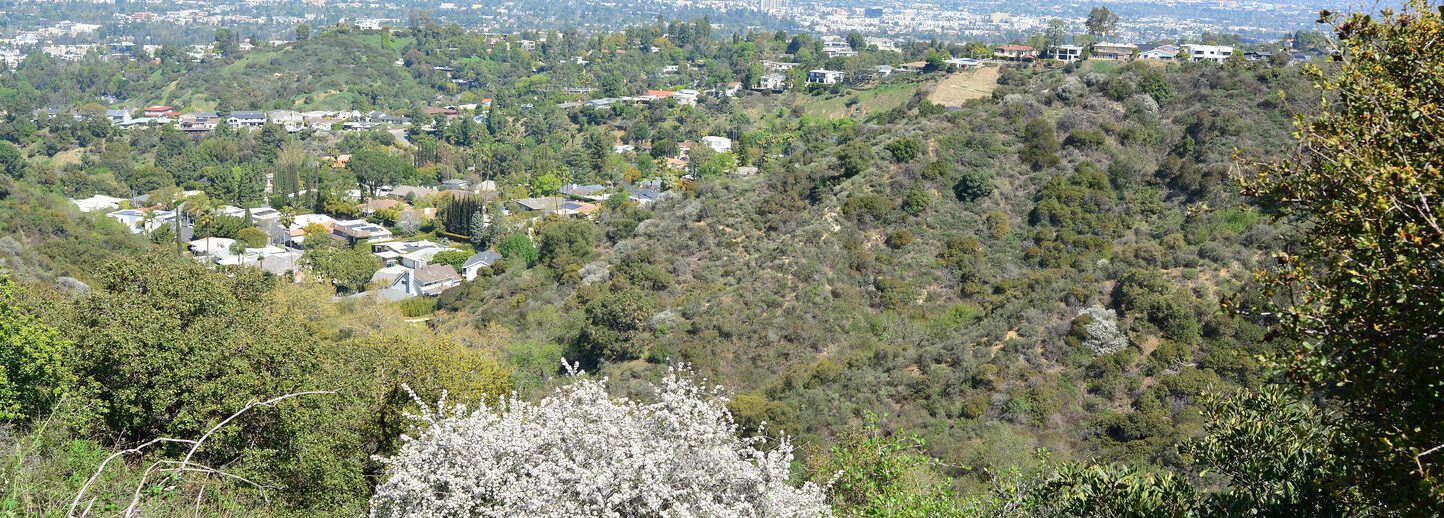 Hillside homes above Studio City.